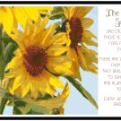 The Meaning of Sunflowers w/poem Pattern Chart Graph