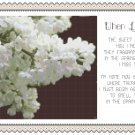 When Lilacs Bloom w/poem Pattern Chart Graph When Lilacs Bloom w/poem Pattern Chart Graph