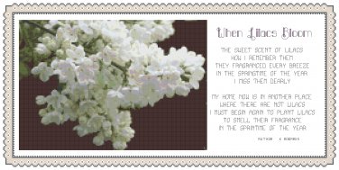 When Lilacs Bloom w/poem Pattern Chart Graph