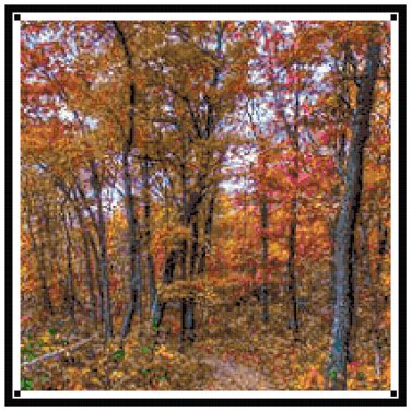 Donald's Woods, Dane County, WI. Pattern Chart Graph
