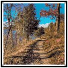 Northern Kettle-Moraine Trail, WI. Pattern Chart Graph