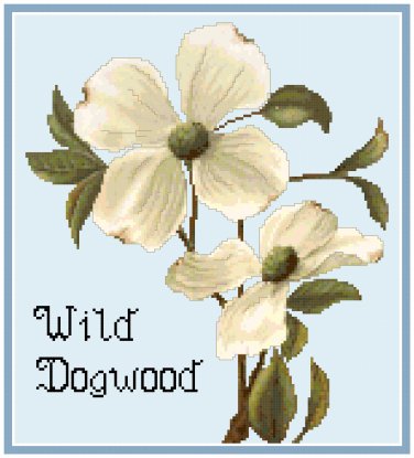 Wild Dogwood Pattern Chart Graph