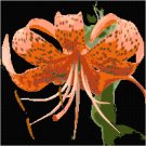 Tigerlily Pillow Top Cross St/Needlepoint pattern chart graph