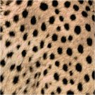 African Cheetah Seat or Pillow Top X-Stitch or Needlepoint pattern chart graph African Cheetah Seat or Pillow Top X-Stitch or Needlepoint pattern chart graph