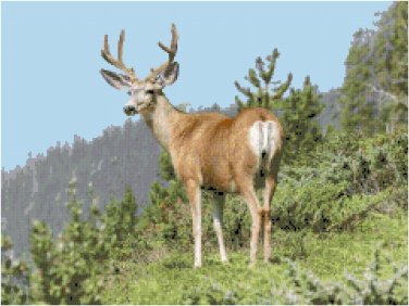 Mule Deer in Colorado Pattern Chart Graph