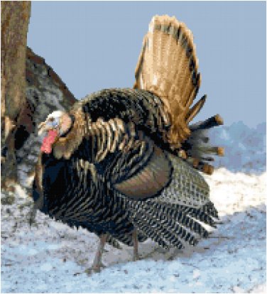 Wild Turkey Pattern Chart Graph