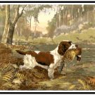 Springer Spaniel with Pheasant Pattern Chart Graph