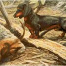 Dachshunds Rabbit Hunting Pattern Chart Graph