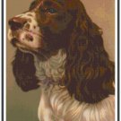 English Springer Spaniel Portrait Pattern Chart Graph