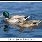 Male and Female Mallard Ducks Pattern Chart Graph