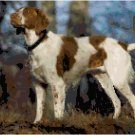 American Brittany Hunting Dog Pattern Chart Graph