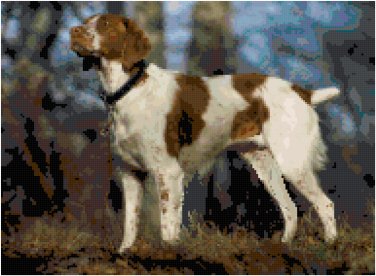 American Brittany Hunting Dog Pattern Chart Graph