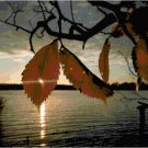 Autumn Evening Pattern Chart Graph