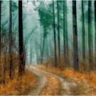 Through the Mist of Autumn Pattern Chart Graph