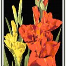 Yellow and Spice Orange Gladiolus Pattern Chart Graph Yellow and Spice Orange Gladiolus Pattern Chart Graph