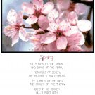 Spring Poem Cross Stitch Pattern Chart Graph