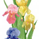 Spring Iris Banner Cross Stitch Pattern Chart Graph