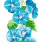 Morning Glory Bell Pull Cross Stitch Pattern Chart Graph