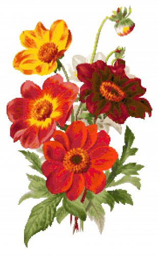 Dahlias Pattern Chart Graph