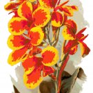 Canna Flowers - Charlotte Pattern Chart Graph