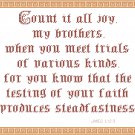 Trust - Count It All Joy Pattern Chart Graph