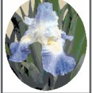 Iris - "Clarence" Pattern Chart Graph