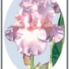 Iris - "Jennifer Rebecca" Pattern Chart Graph
