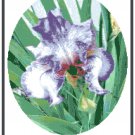 Iris - "Autumn Tryst" Pattern Chart Graph