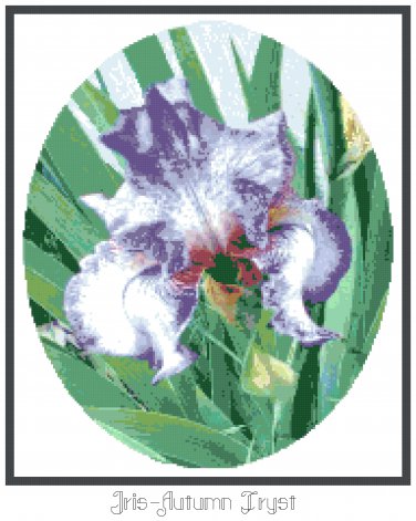 Iris - "Autumn Tryst" Pattern Chart Graph