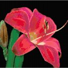 Flower Power Daylily Pattern Chart Graph