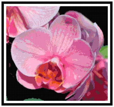 Rose Pink Orchid Blossom Pattern Chart Graph