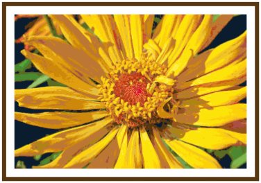 Firecracker Zinnia Blossom Pattern Chart Graph