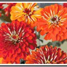 Summer Flower Garden Pattern Chart Graph