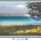 The Sea of Galilee Pattern Chart Graph The Sea of Galilee Pattern Chart Graph