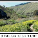A Valley Near the Sea of Galilee Pattern Chart Graph A Valley Near the Sea of Galilee Pattern Chart Graph