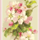 Apple Blossoms by Catherine Klein Pattern Chart Graph