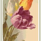 Tulips 1 by Catherine Klein Pattern Chart Graph