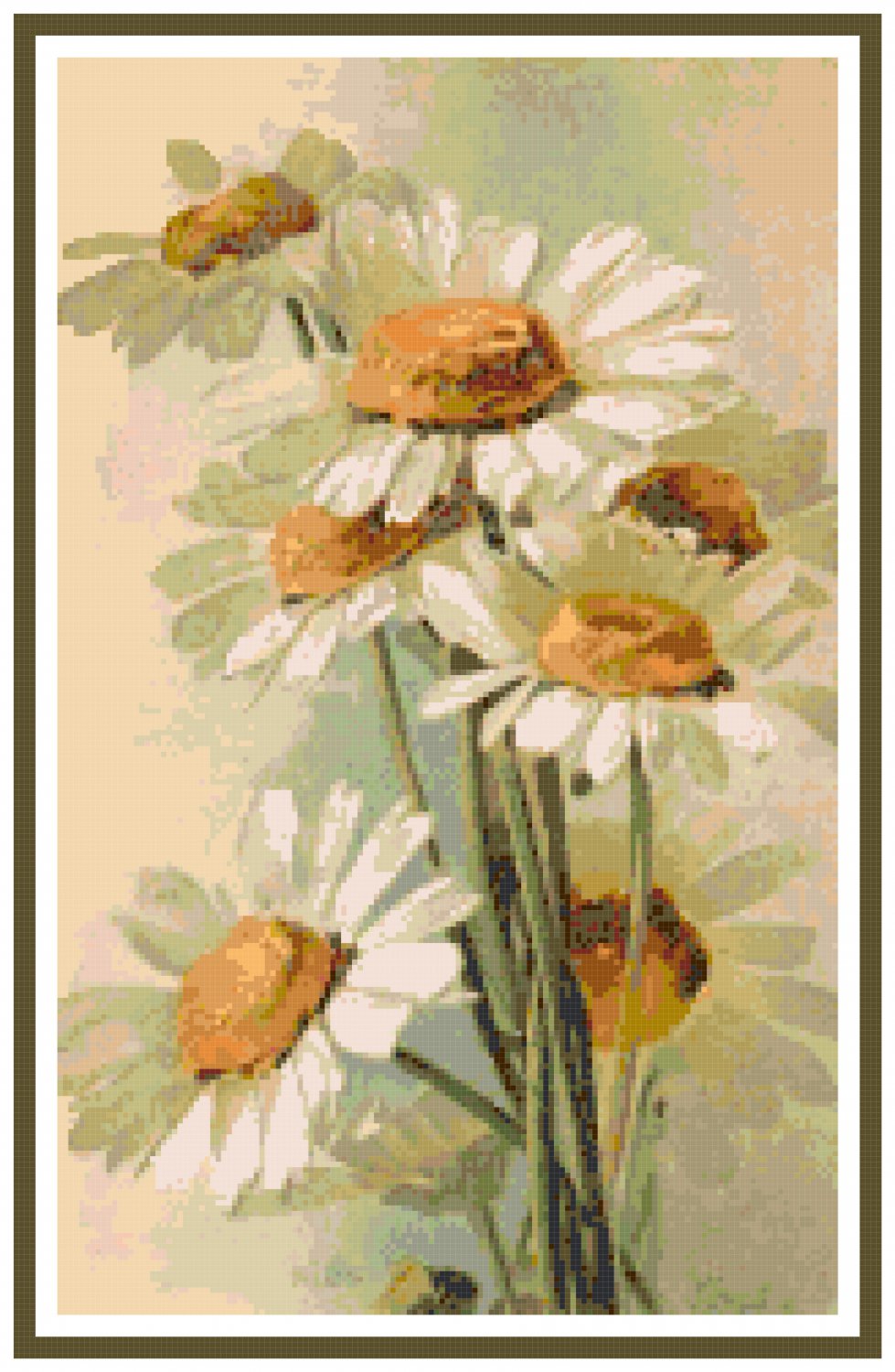 Катарина Кляйн цветы ромашки