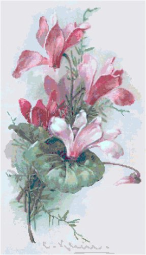 Cyclamen by Catherine Klein Pattern Chart Graph