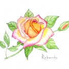 PEACE ROSE HAND PAINTED WATERCOLOR PAINTING