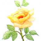 YELLOW ROSE HAND PAINTED WATERCOLOR PAINTING YELLOW ROSE HAND PAINTED WATERCOLOR PAINTING