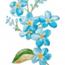 Forget-Me-Nots Cross Stitch Pattern Chart Graph Forget-Me-Nots Cross Stitch Pattern Chart Graph