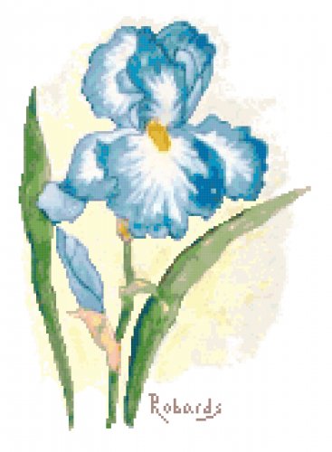 Sky Blue Iris Cross Stitch Pattern Chart Graph