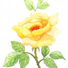 Yellow Rose Cross Stitch Pattern Chart Graph