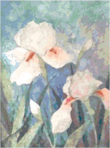 Iris Garden 2 Cross Stitch Pattern Chart Graph