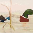 Male Mallard Duck on Pond Cross Stitch Pattern Chart Graph