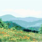 Wildflowers of the Missouri Ozarks Cross Stitch Pattern Chart Graph