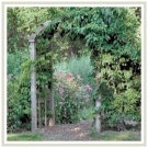 Portal to the Flower Garden Cross Stitch Pattern Chart Graph Portal to the Flower Garden Cross Stitch Pattern Chart Graph