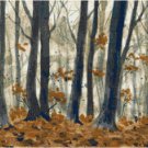 Into the Woods by Kate Robards