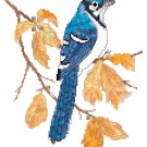 Autumn Bluejay by Kate Robards Pattern Chart Graph